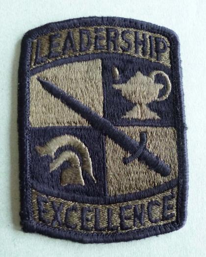 USA : ROTC Cadet Command Leadership Excellence Shoulder Flash - Subdued version.