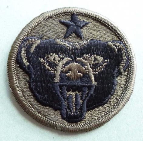 USA : Army Alaskan Command Shoulder Flash - Subdued version.