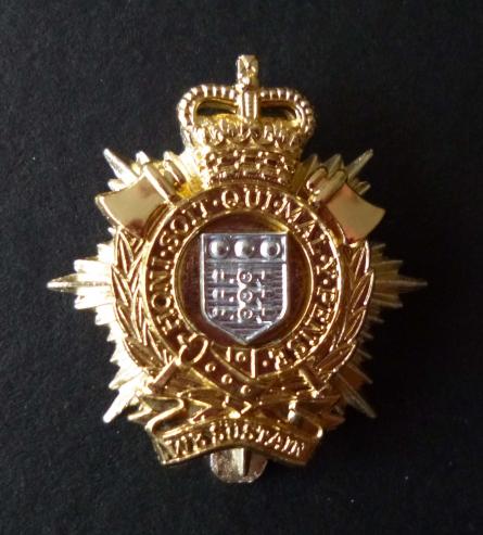 Royal Logistics Corps (Queen's crown) Staybrite Cap Badge.