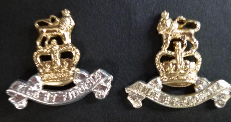 Royal Army Pay Corps (RAPC) Pair of OR's Staybrite Collar-badges.