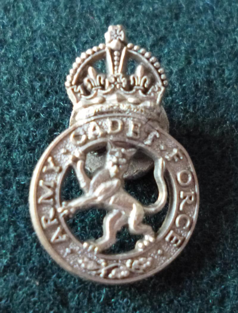 Army Cadet Force Members Plastic War-economy Buttonhole Lapel Badge.