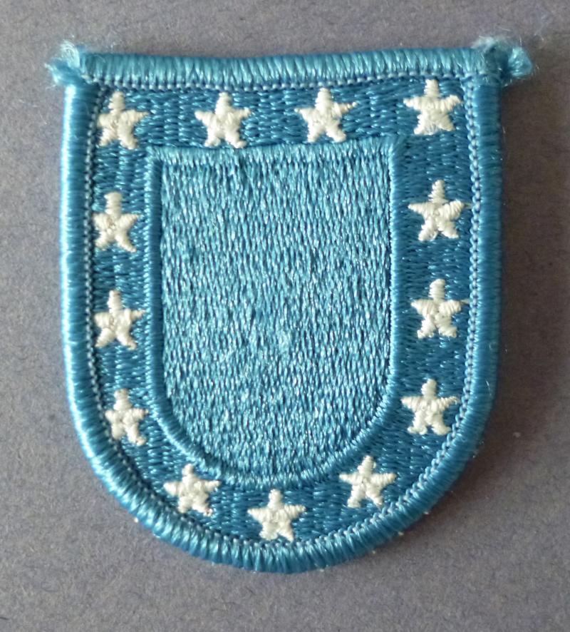 USA : Army Standard Beret-flash.