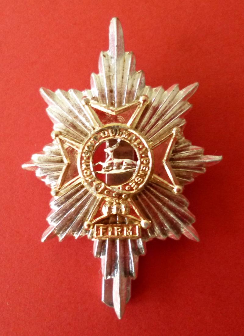 Worcestershire and Sherwood Foresters Regiment Staybrite Cap-badge.