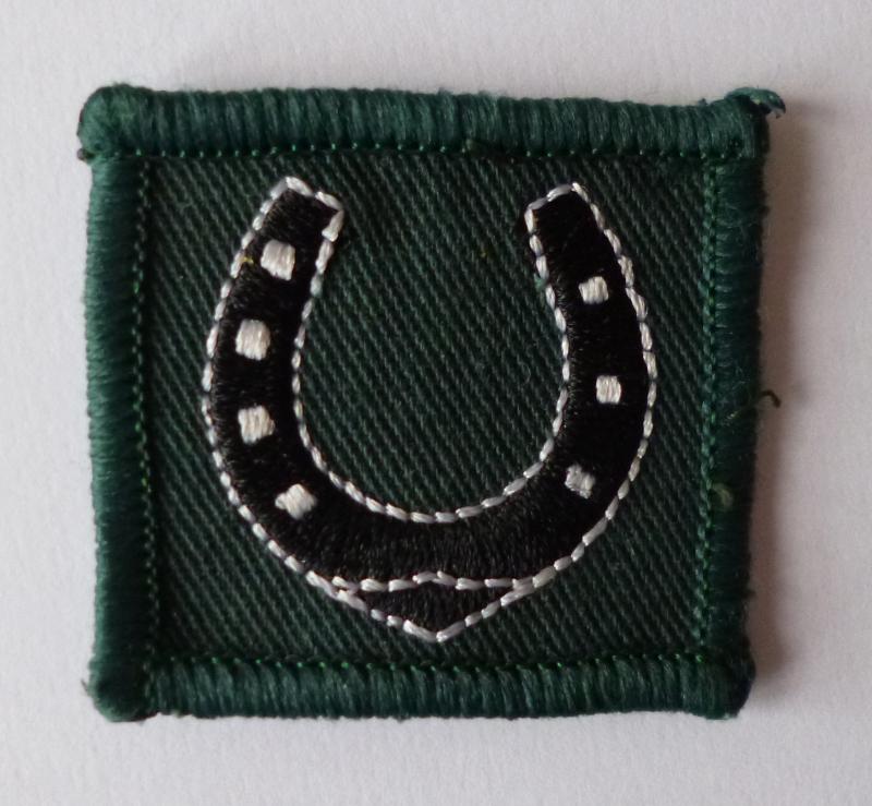 Army 39th Infantry Brigade Shoulder-flash / TRF.