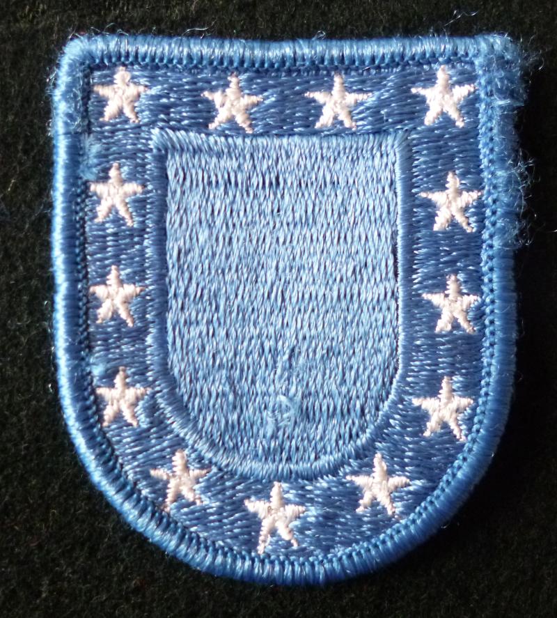 USA : Army Standard Beret-flash.