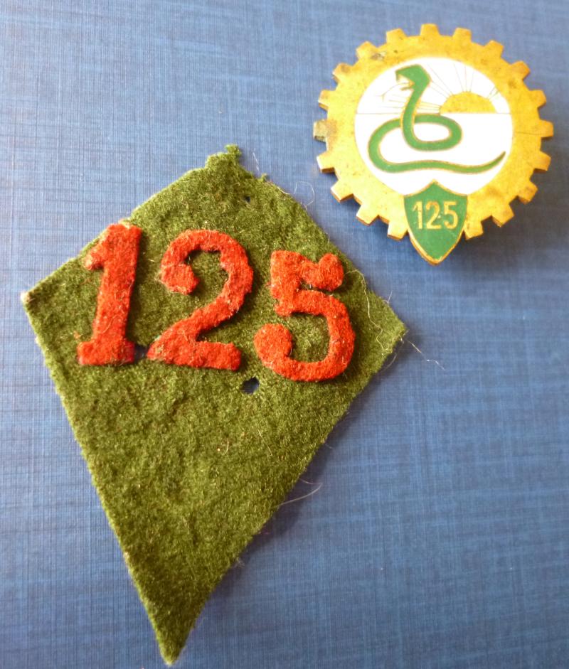 France : Military 125th Squadron of the General Automobile Reserve (125ème Escadron Automobile de Réserve Générale - EARG) Formation-badge and Collar-patch.