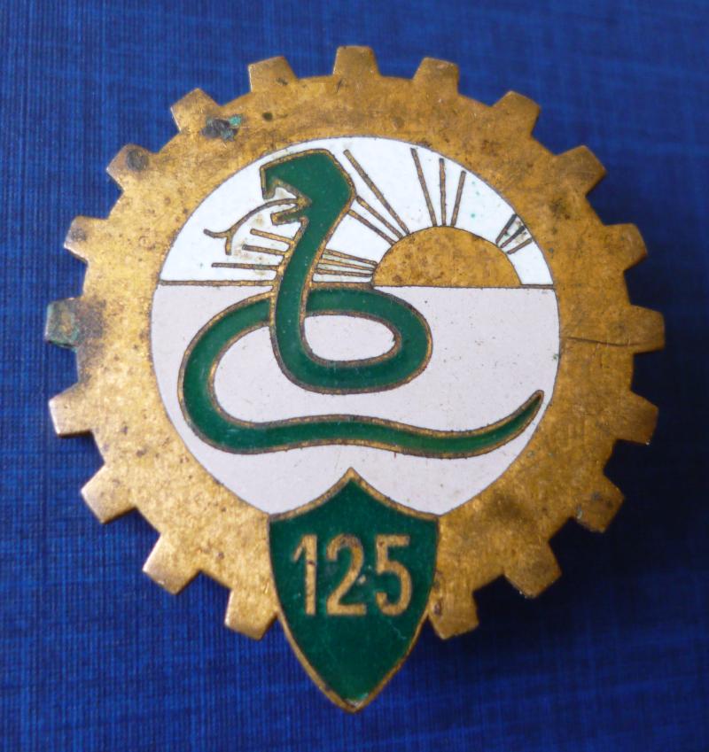 France : Military 125th Squadron of the General Automobile Reserve (125ème Escadron Automobile de Réserve Générale - EARG) Formation-badge and Collar-patch.