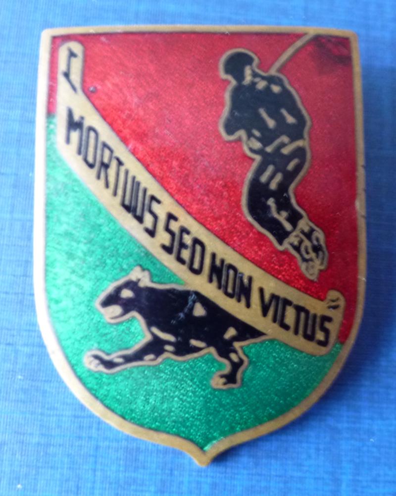 Portugal : Army 4th Company (4a CCP) of the 31st Parachute Battalion (BCP31) Formation-badge.